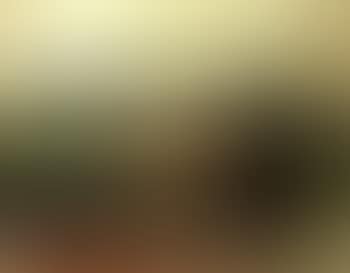 Paysage (preview)
