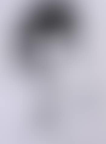 Imaginary portrait (preview)