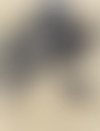 Eagle (preview)