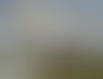 Angler in a rowing boat on a lake (preview)