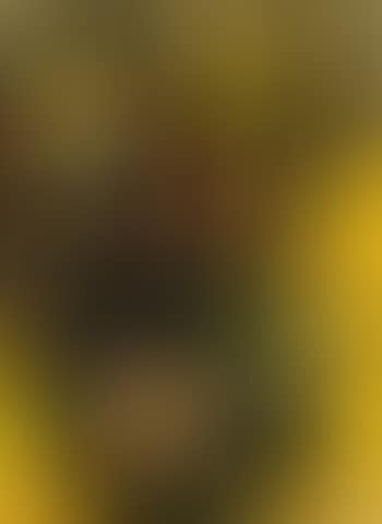 Figure (preview)