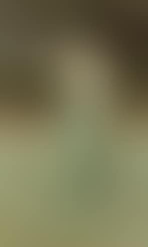 Woman in landscape, possibly the artist's wife Agnes (preview)