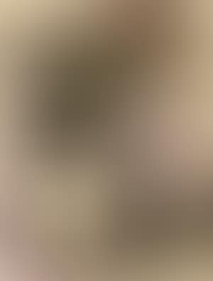 Untitled (preview)