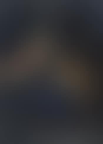 Holy Family with Saint John at night (preview)