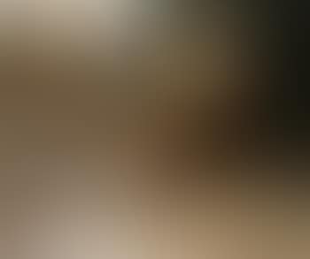Oresitrophus (preview)