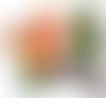 Tulip (preview)