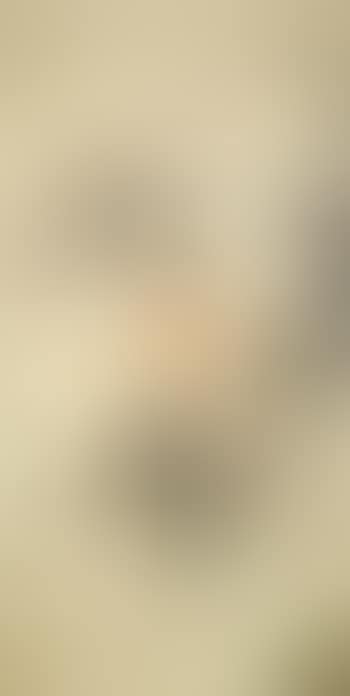 Man riding donkey (preview)