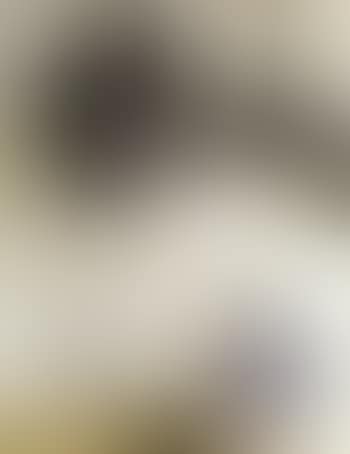 Suite of Friuli VI (preview)