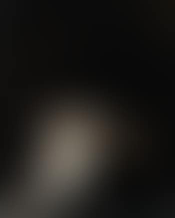 Nature morte au gibier (preview)