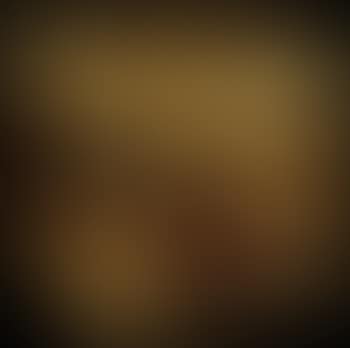 Violon brise (preview)