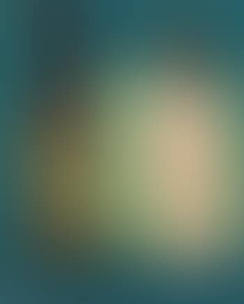 Questions du peintre (preview)