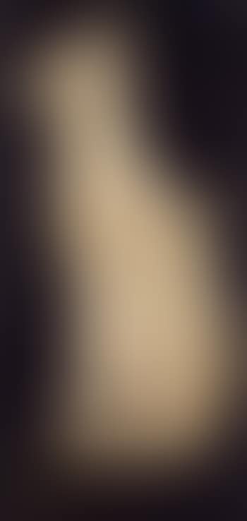 Chat siamois (preview)