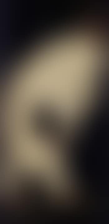 Belier (preview)
