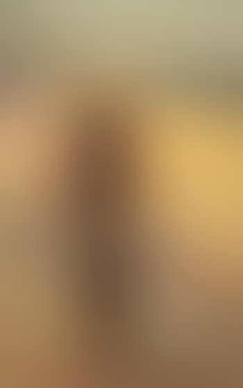 Man with white hat and stick on Skagen beach (preview)