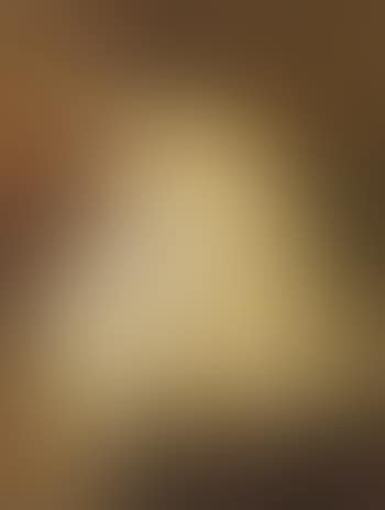 Female nude seen from behind (preview)