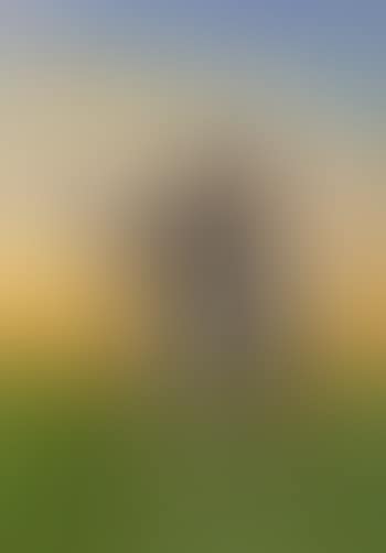 Harvester riding home in evening glow (preview)