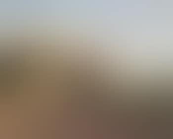 Summer landscape with farmer working in field (preview)