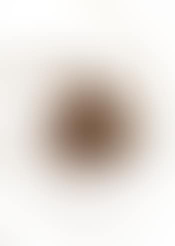 Untitled, spin painting (preview)