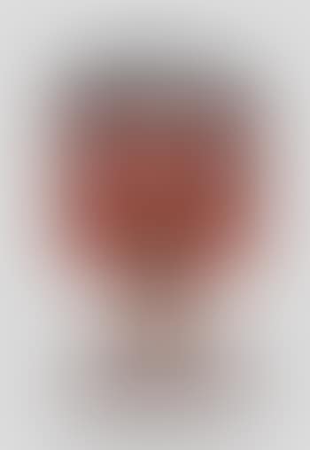 Untitled, from Andy Warhol, 32 Campbell's Soup (preview)