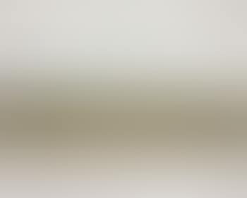 Paysage argente (preview)