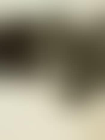 Nitaz (preview)