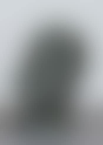 Head of Janus (preview)