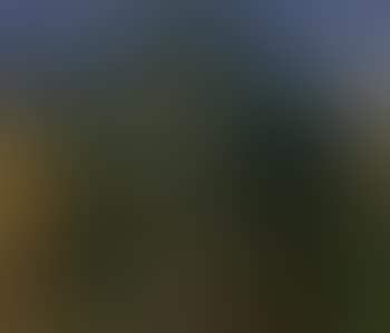 Houses surrounded by pine trees, Porto d'Ischia (preview)