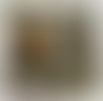 Strombus (preview)