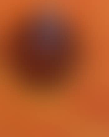 Composition NX4 (preview)