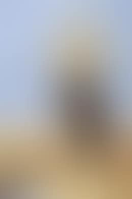 Figure (preview)