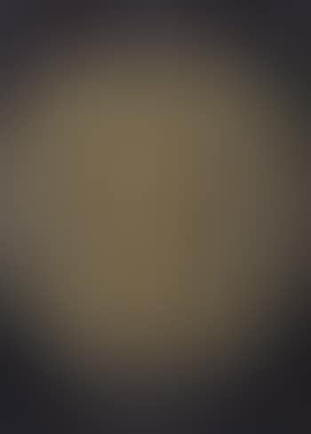 Noix (preview)