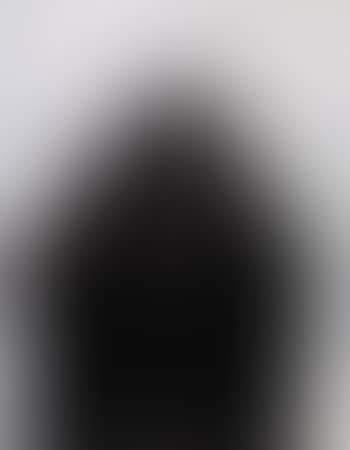 Still life (preview)