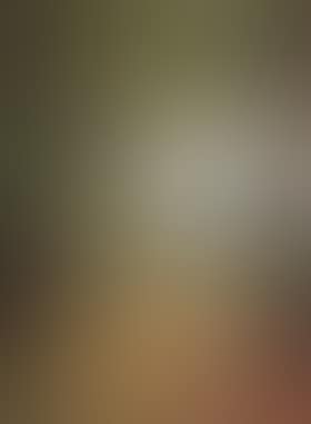 Extensive wooded landscape (preview)