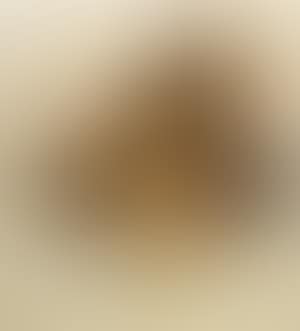 German sheepdog (preview)