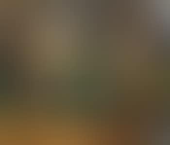 Paysage (preview)