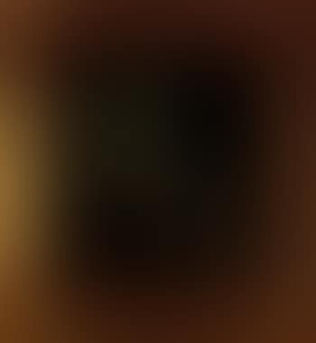 Paysage boise (preview)
