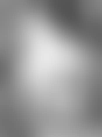 Le modele (preview)