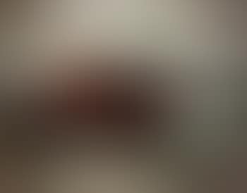 Raid in Palazzolo (preview)