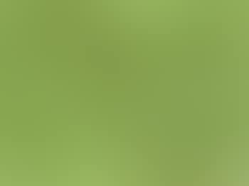 Golden green (preview)