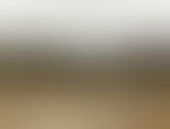 Paysage aux oliviers (preview)