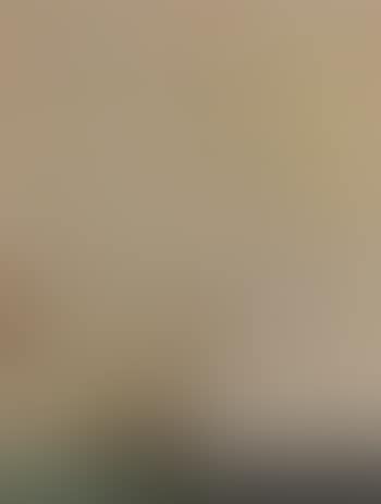 Nude with servant (preview)