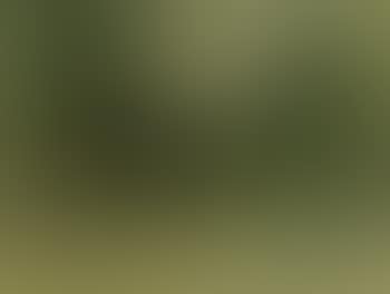 Paysage cubain (preview)
