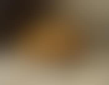 Nature morte aux poires (preview)