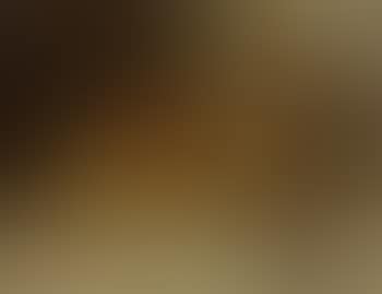 Nature morte a la verseuse (preview)