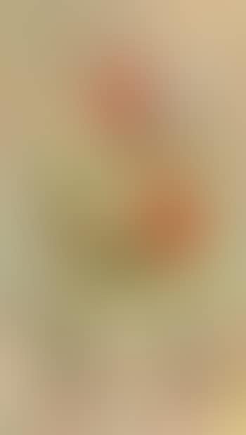 Tulips (preview)