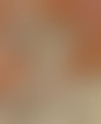 Nature morte aux fleurs (preview)