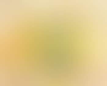 Tulipes jaunes (preview)