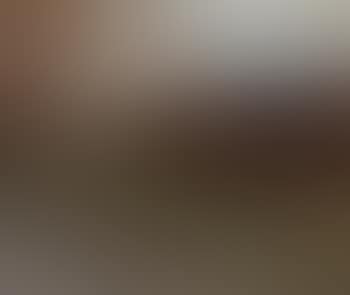 Vaches au paturage (preview)