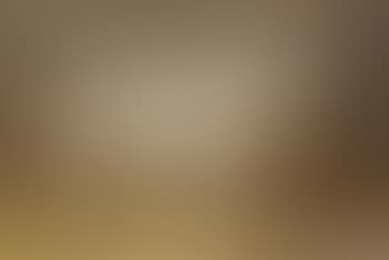 Portrait of the Queen's favourite horse, Kintore, in a loose box (preview)