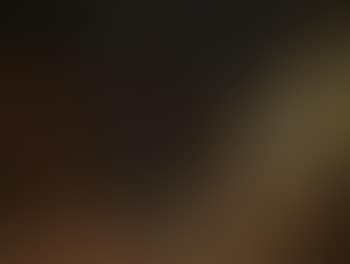 Scene from a fisherman's cottage with small child smacking a duck (preview)